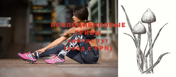 круглые Алексин