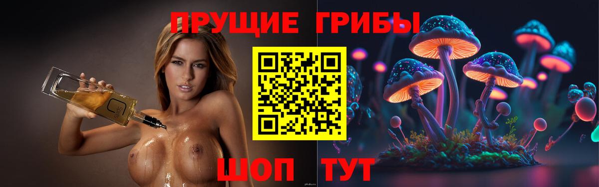 Боровичи  Псилоцибиновые грибы Psilocybe  Вход с VPN  Галлюциногенные грибы прущие грибы 